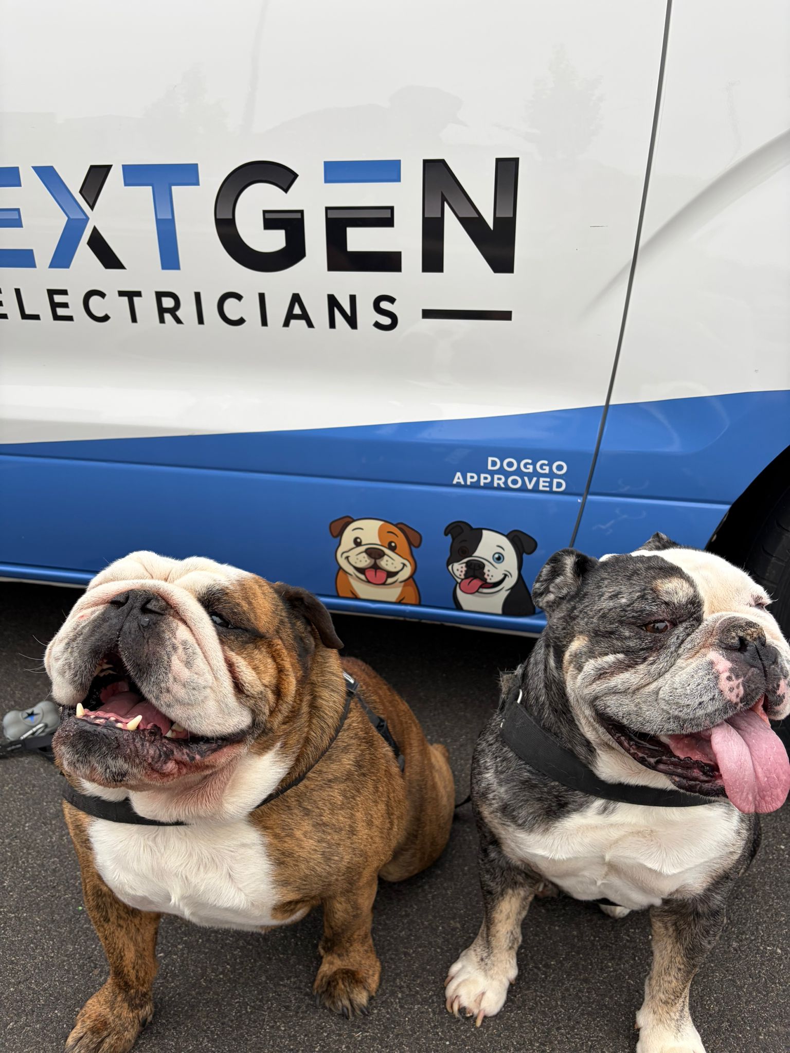 Banks and Dexter, the British bulldogs